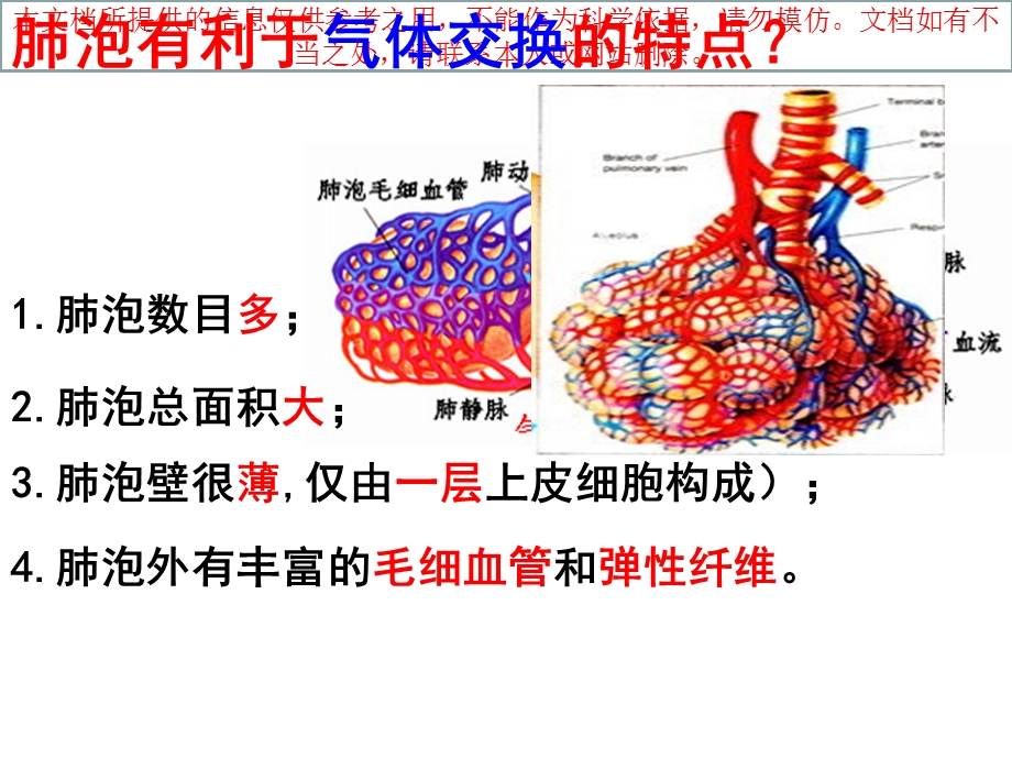 呼吸运动和肺通气培训课件.ppt_第1页