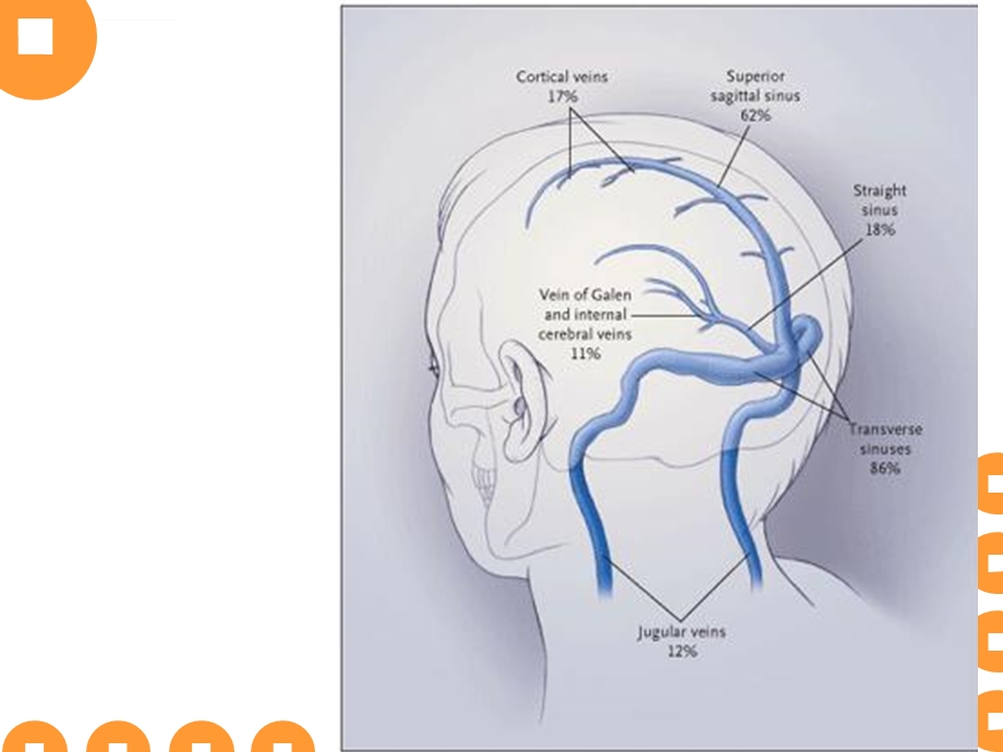 大脑静脉系统解剖ppt课件.ppt_第3页