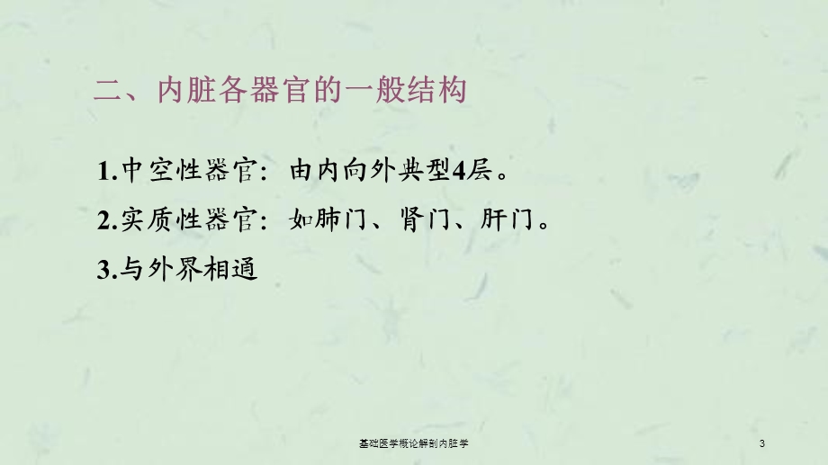 基础医学概论解剖内脏学课件.ppt_第3页