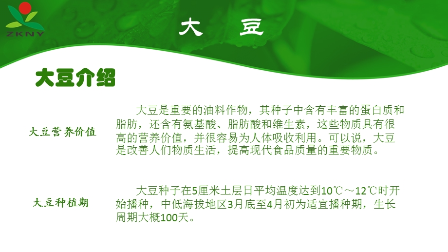 大豆生长周期、需肥、缺素及病虫害防治ppt课件.ppt_第3页