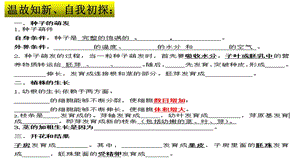 复习课被子植物的一生ppt课件.ppt