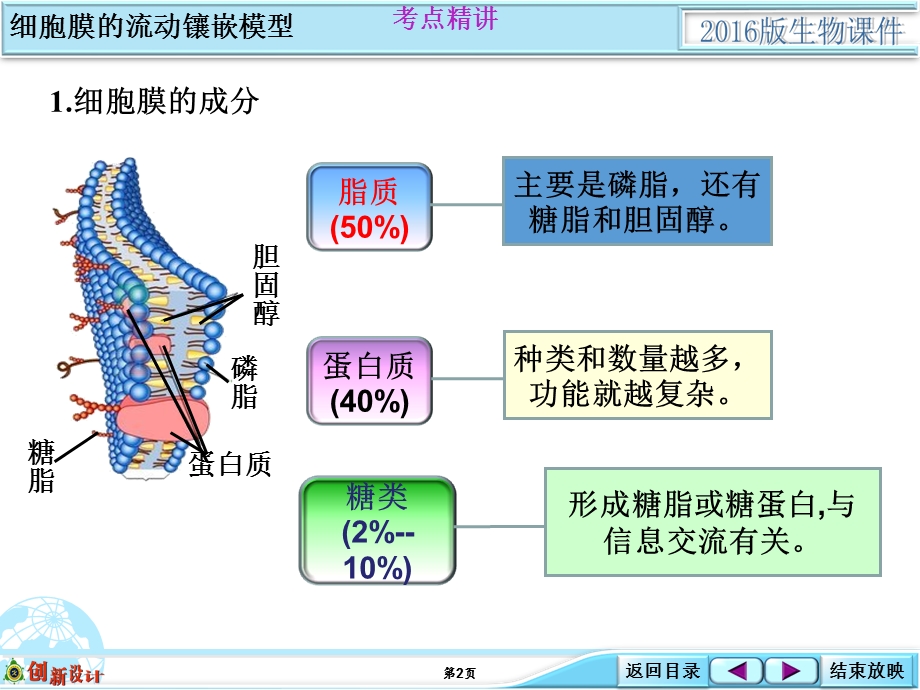 1-2-02基础考点强化类细胞膜的流动镶嵌模型.ppt_第2页