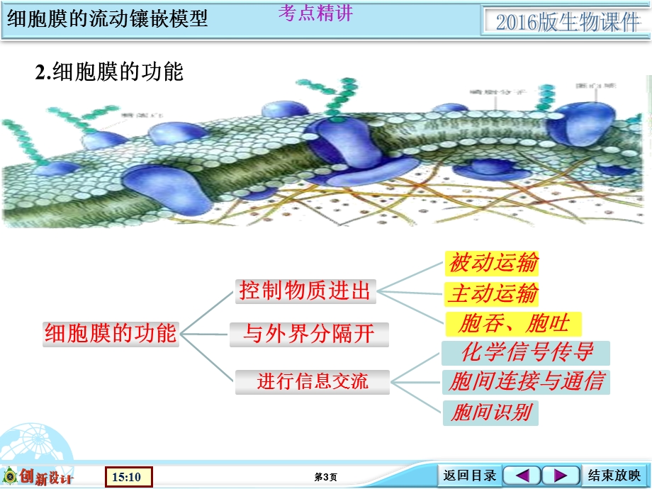 1-2-02基础考点强化类细胞膜的流动镶嵌模型.ppt_第3页