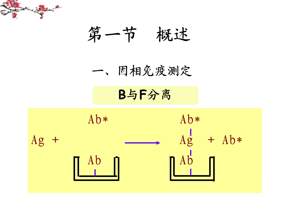 固相膜免疫技术ppt课件.ppt_第2页