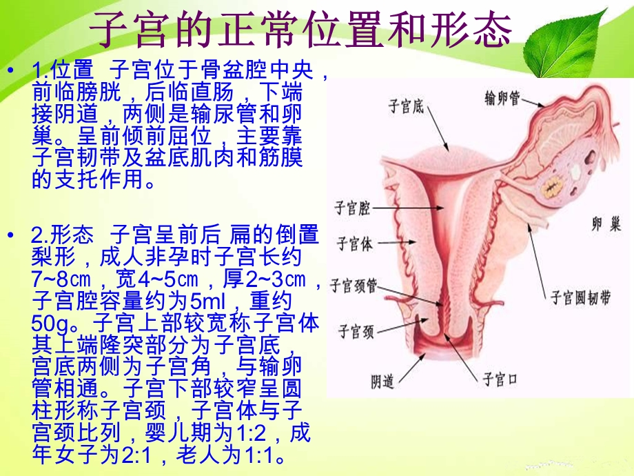 子宫全切术的手术配合ppt课件.pptx_第2页