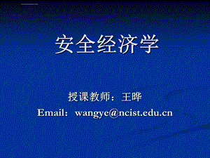 安全经济学第二章ppt课件.ppt