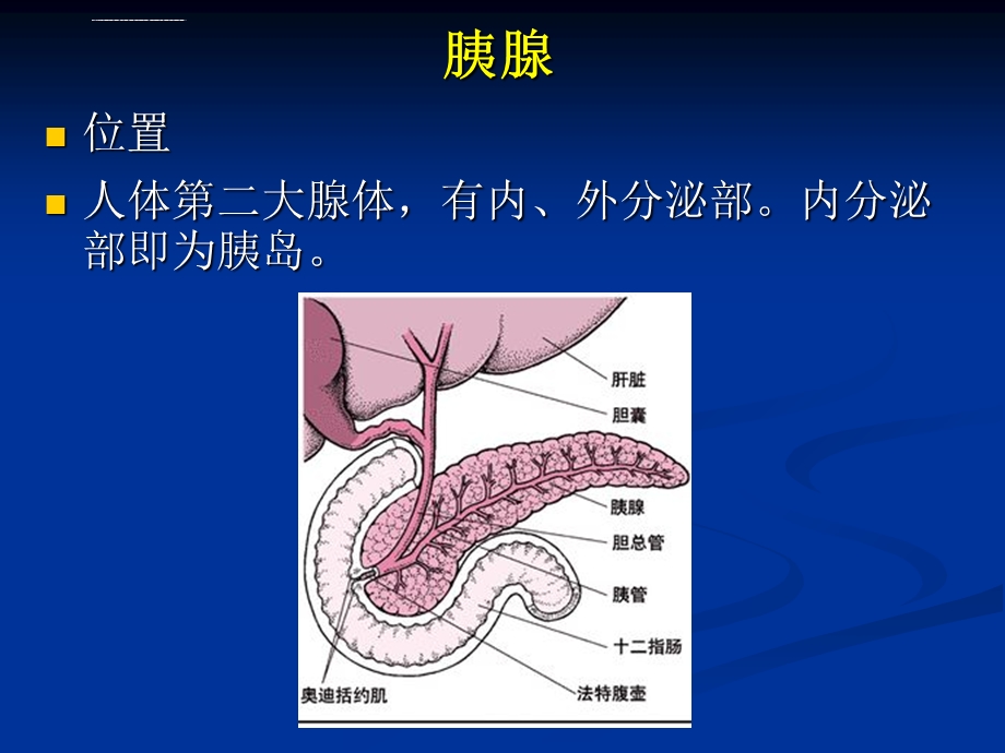 国内胰岛素的种类及用法ppt课件.ppt_第2页