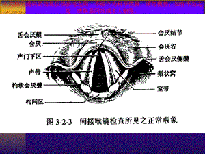 喉的临床应用解剖学和生理学培训课件.ppt