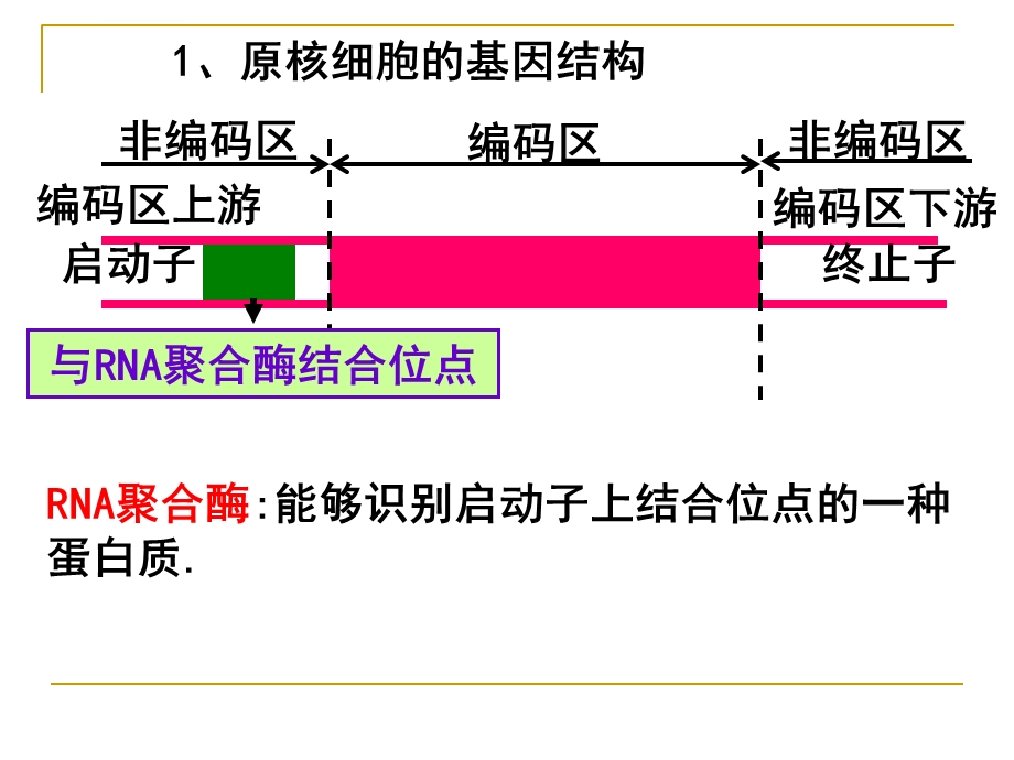 基因工程的基本操作程序(中图版补充人教版内容)ppt课件.ppt_第2页