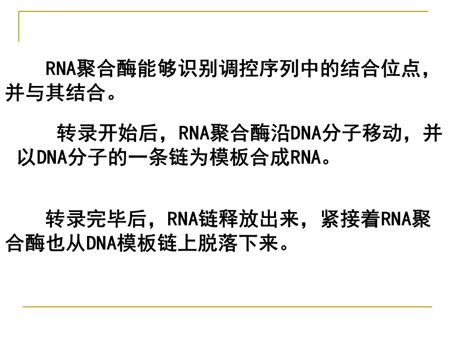 基因工程的基本操作程序(中图版补充人教版内容)ppt课件.ppt_第3页