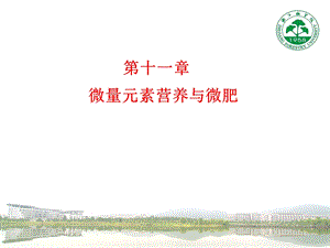 土壤微量元素(土壤肥料科学通论)课件.ppt