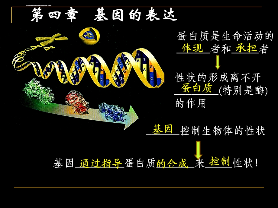 基因指导蛋白质的合成（转录翻译动画）ppt课件.ppt_第1页