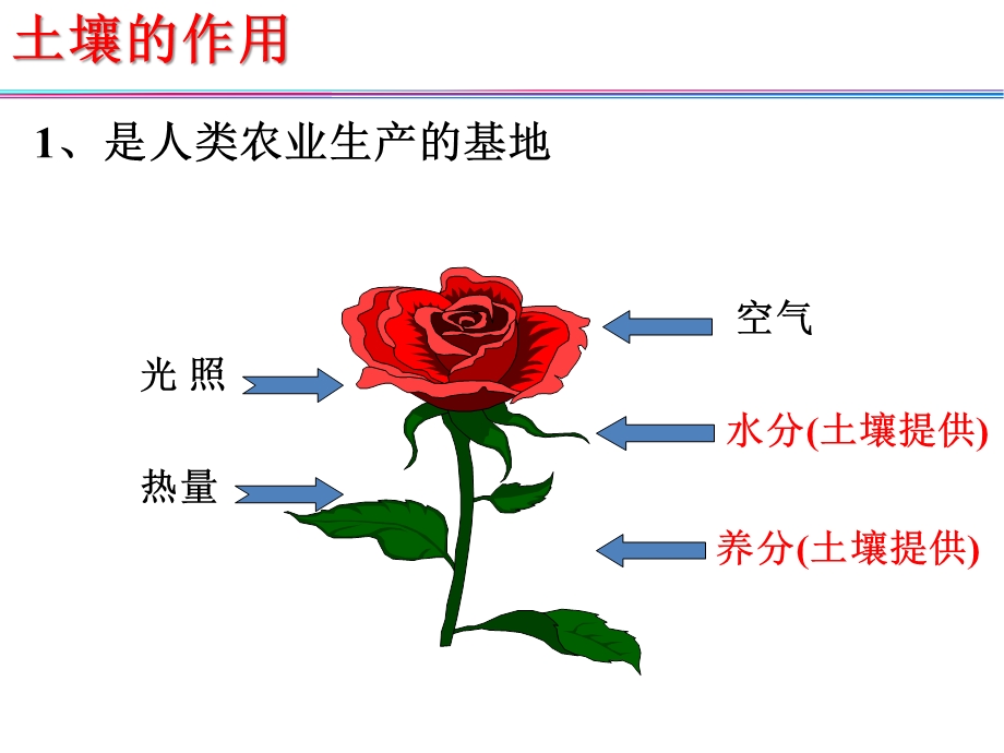 土壤专题复习ppt课件.ppt_第3页