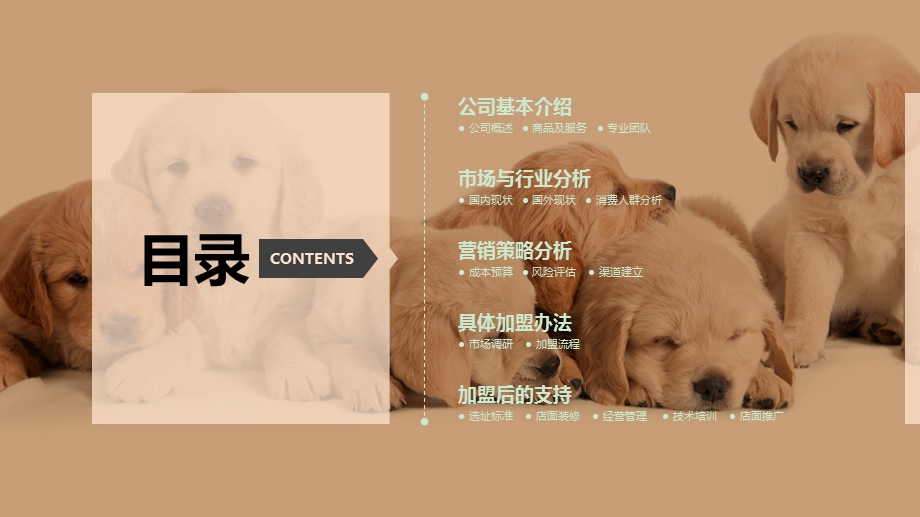 宠物店创业ppt幻灯片课件.ppt_第2页