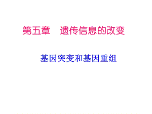 基因突变和基因重组(使用)课件.ppt