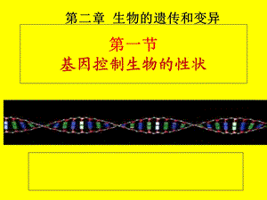 基因控制生物的性状优秀课件.ppt