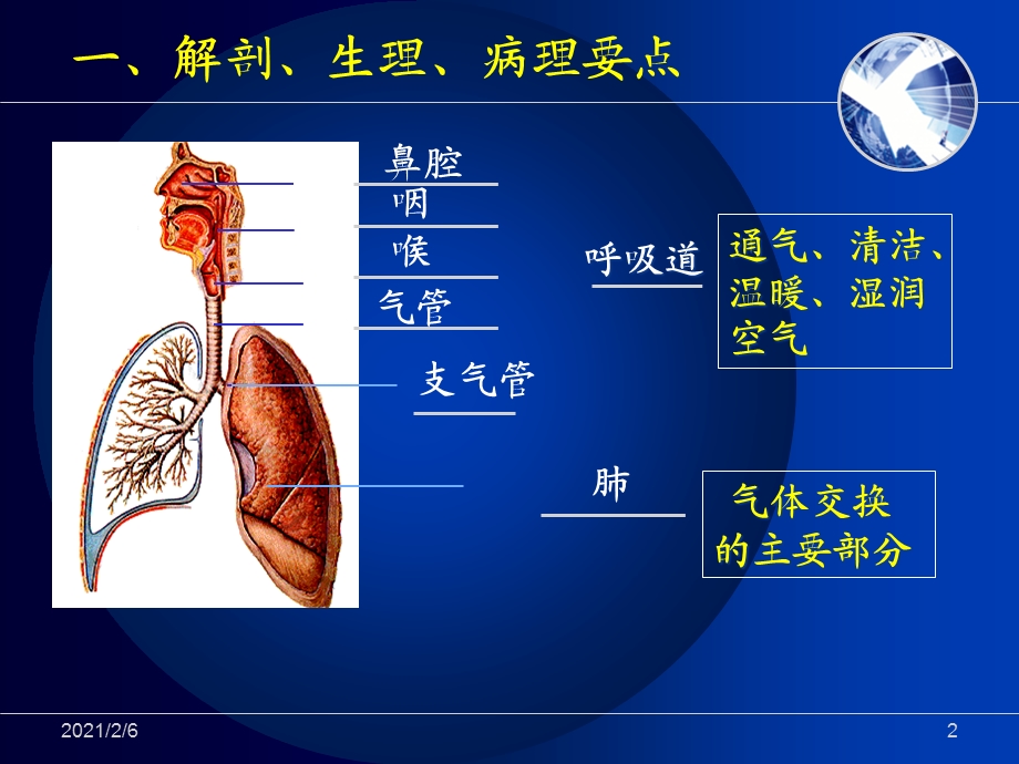 呼吸系统相关知识要点课件.ppt_第2页