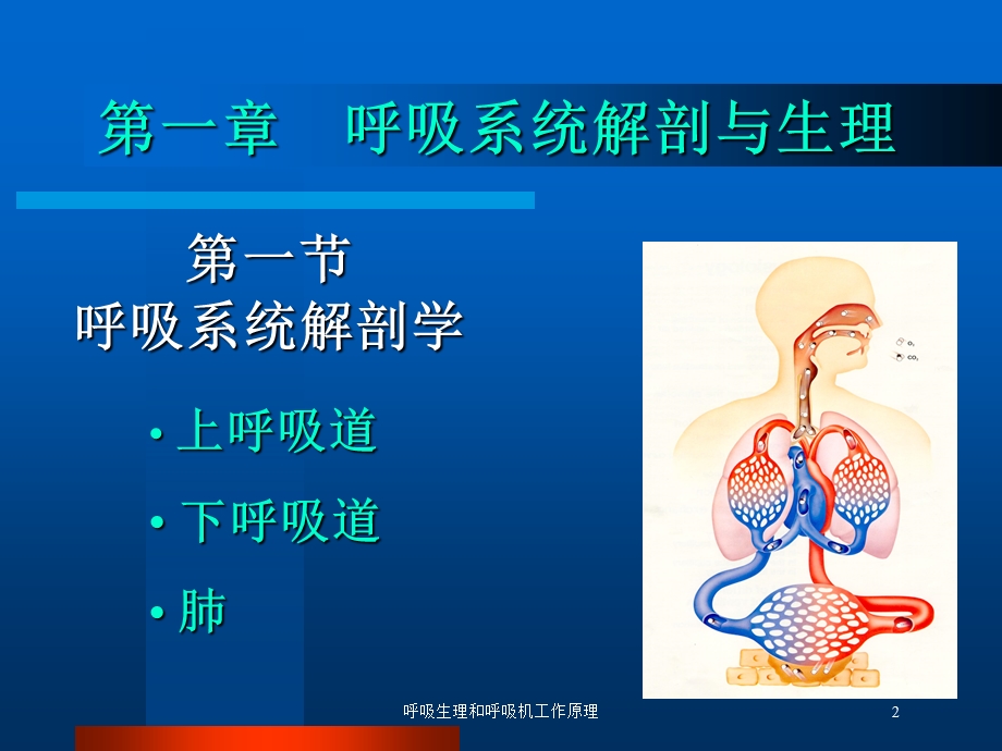 呼吸生理和呼吸机工作原理培训课件.ppt_第2页