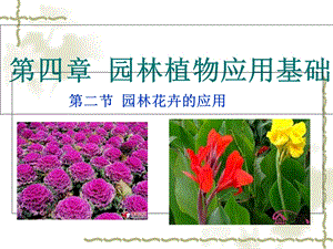 园林花卉的应用ppt课件.ppt