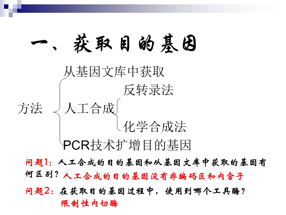 基因工程复习课件.ppt_第2页