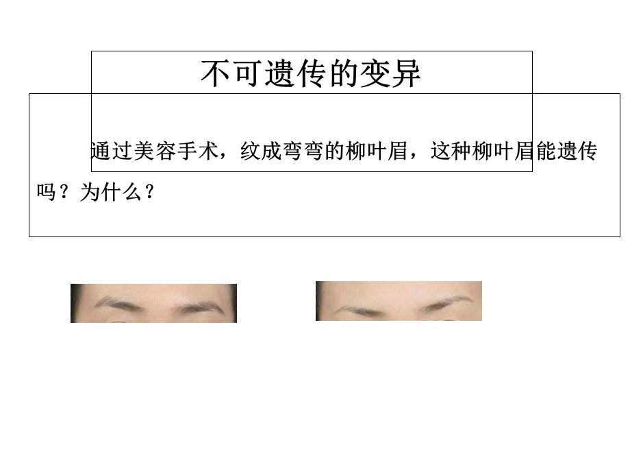 基因突变的概念课件.ppt_第3页