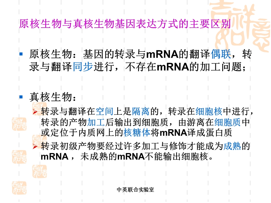 基因组学课件71基因的表达调控.ppt_第2页