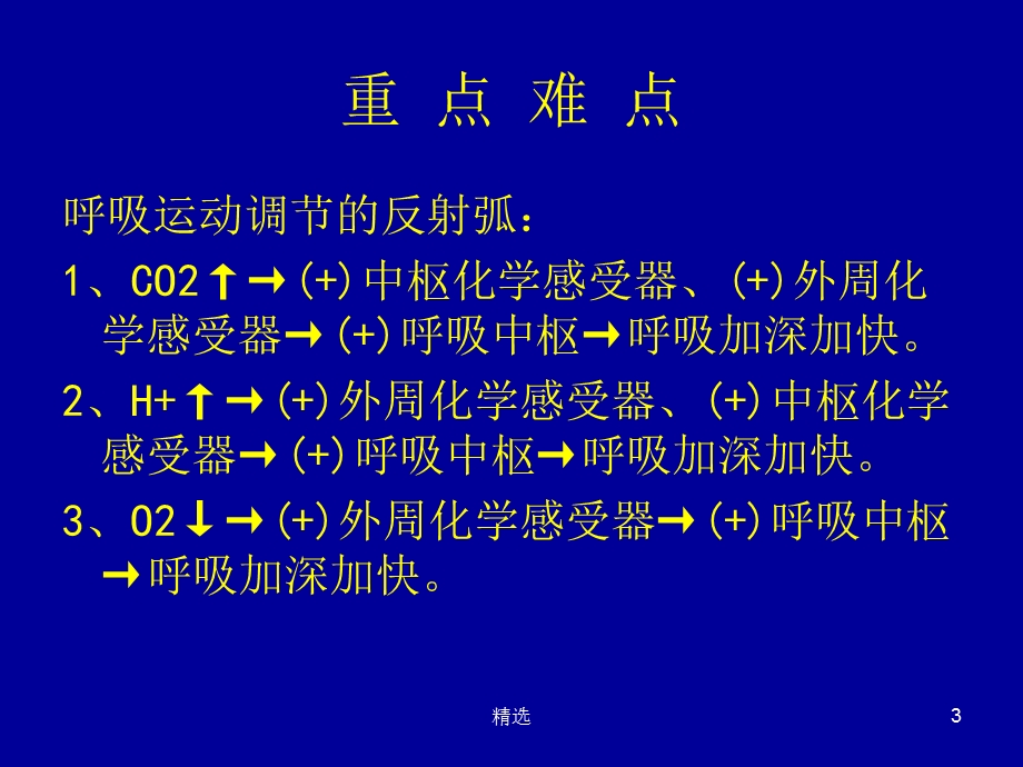 呼吸运动的调节课件.ppt_第3页