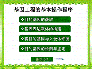 基因工程的基本操作程序参考课件.pptx