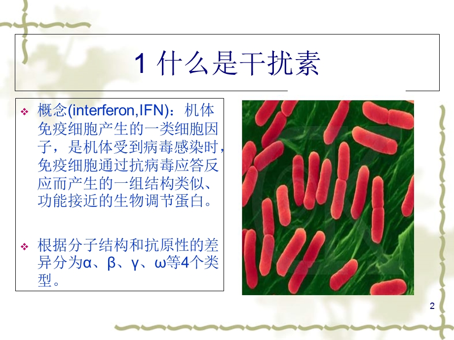 基因工程药物之干扰素的制备流程课件(37张).ppt_第2页