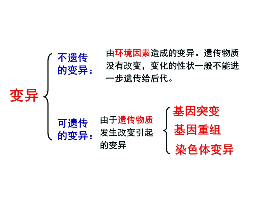 基因突变和基因重组(一轮复习公开课课件).ppt_第1页