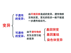 基因突变和基因重组(一轮复习公开课课件).ppt