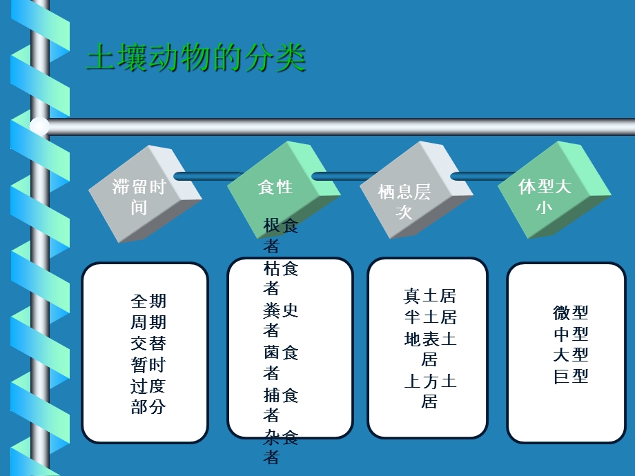 土壤生态学第三章土壤生物ppt课件.ppt_第2页