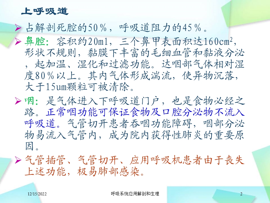 呼吸系统应用解剖和生理课件.ppt_第2页