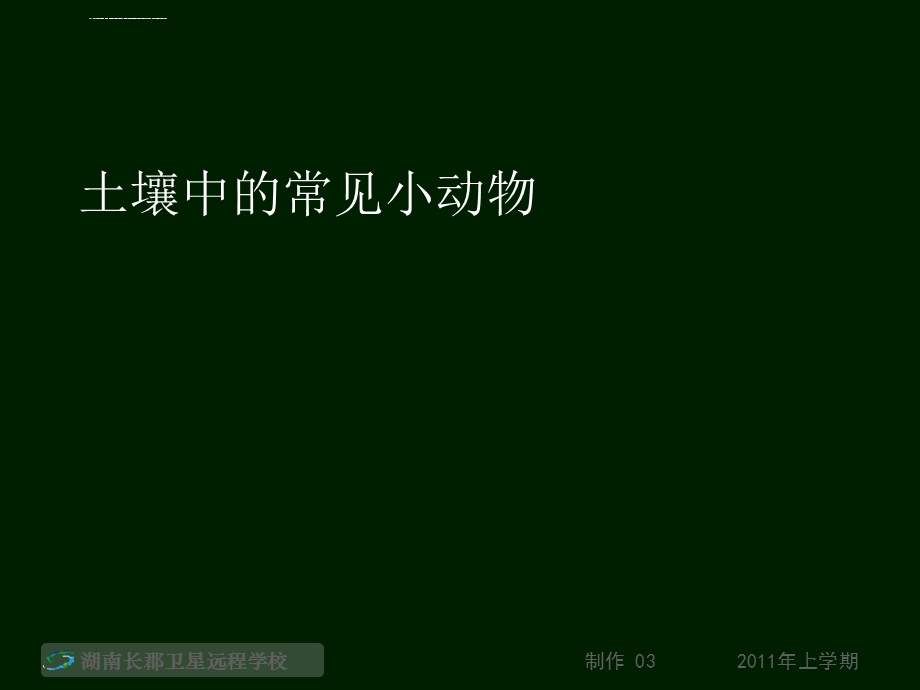 土壤中的常见小动物ppt课件.ppt_第1页