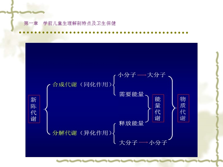 学前儿童生理解剖特点及卫生保健ppt课件.ppt_第2页