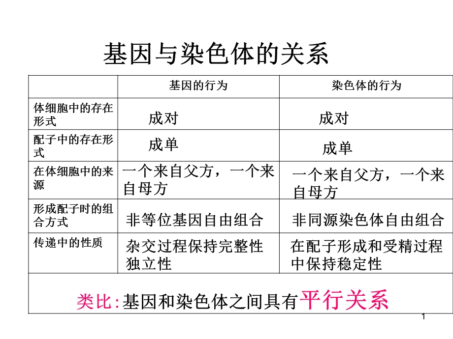 基因与染色体的关系课件.ppt_第1页