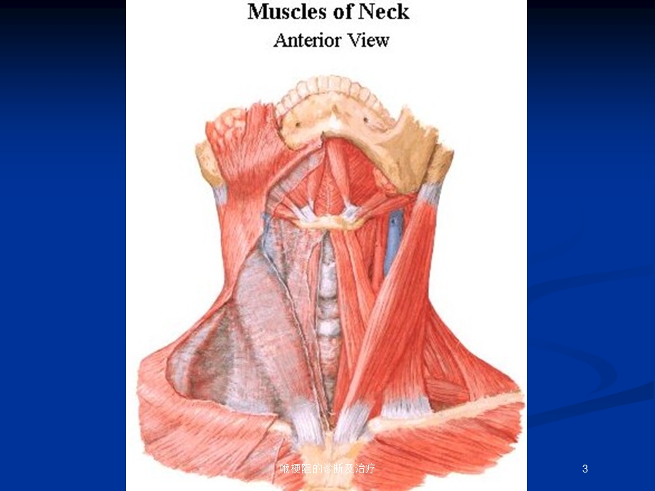 喉梗阻的诊断及治疗培训课件.ppt_第3页