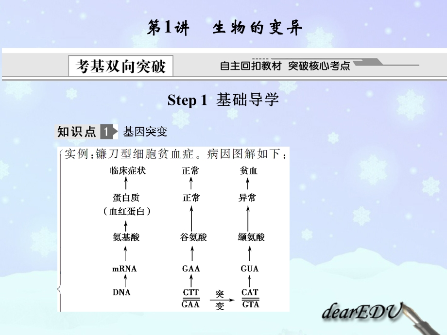 基因重组目的基因载体受体细胞课件.ppt_第3页