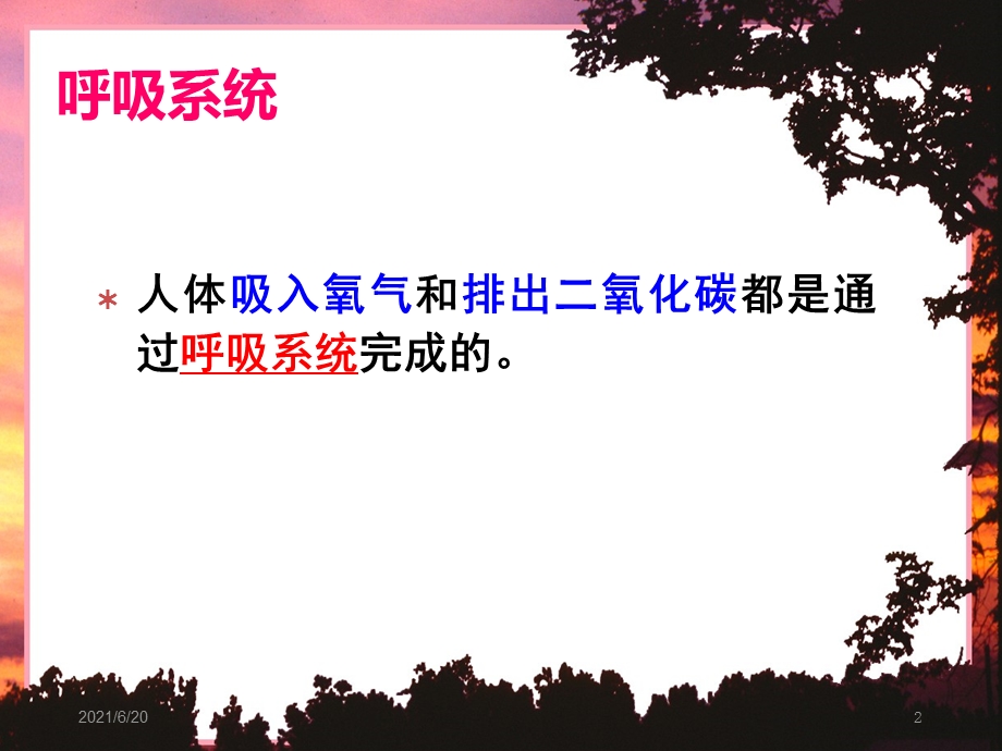 呼吸系统的组成课件.ppt_第2页