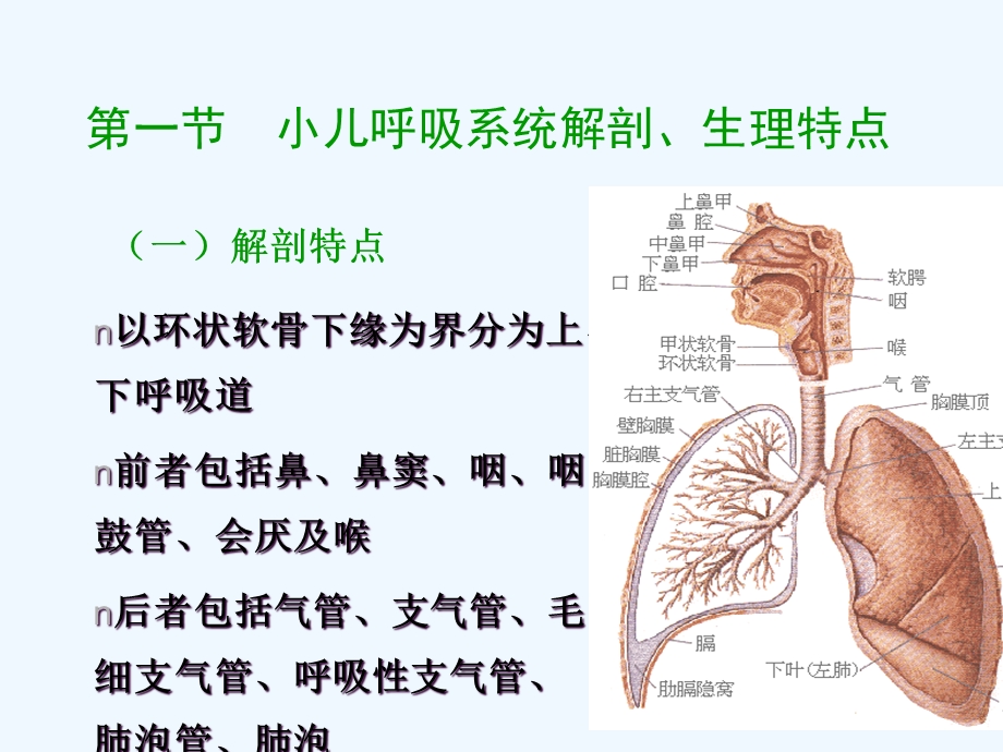 呼吸系统疾病患儿护理课件.ppt_第3页