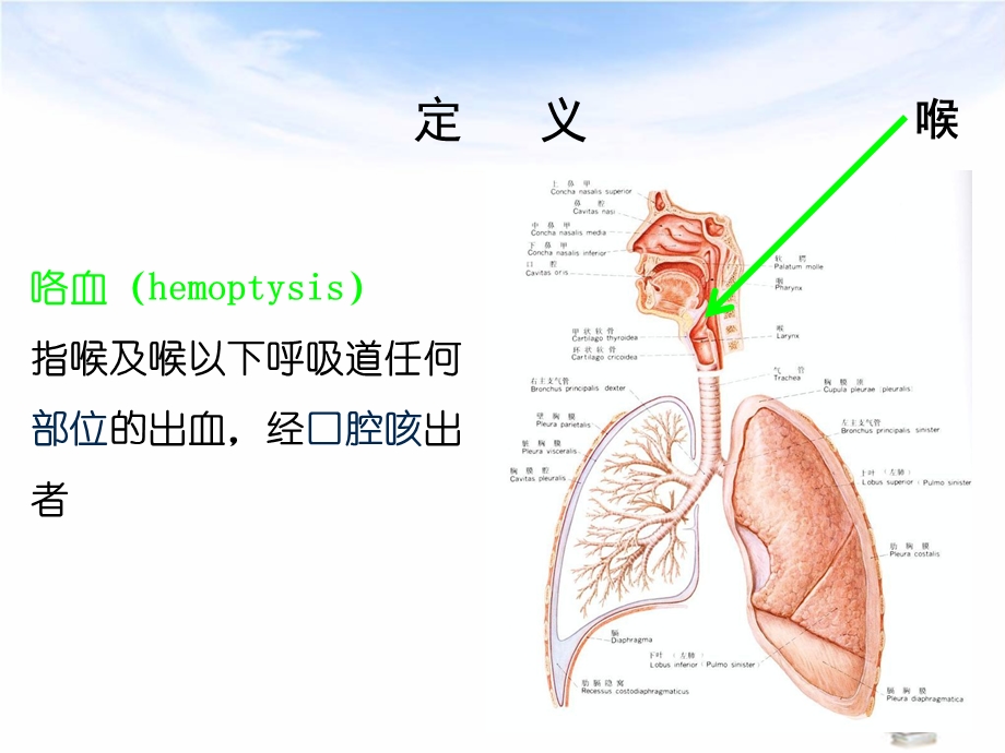 咯血的诊断与处理课件.ppt_第2页