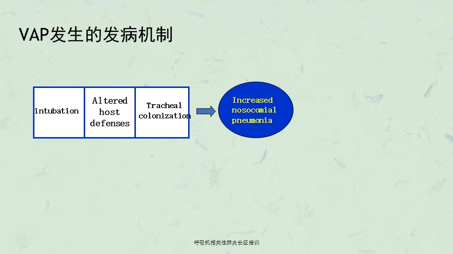 呼吸机相关性肺炎长征培训课件.ppt_第3页