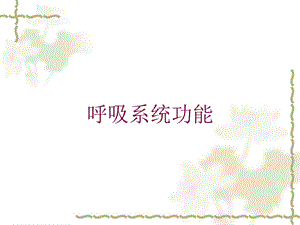 呼吸系统功能培训课件.ppt