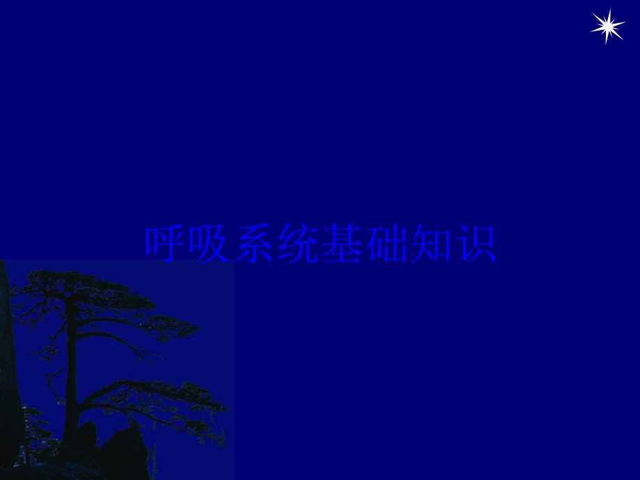 呼吸系统基础知识培训课件.ppt_第1页