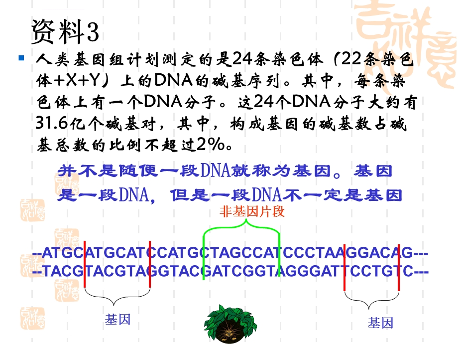 基因的表达(课用)ppt课件.ppt_第2页