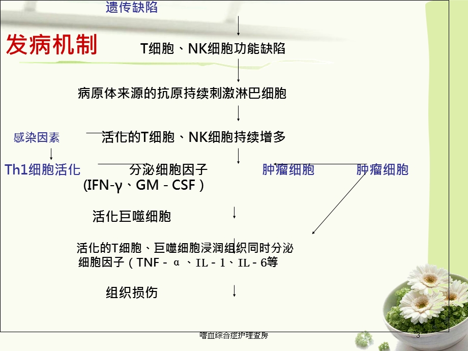 嗜血综合症护理查房培训课件.ppt_第3页