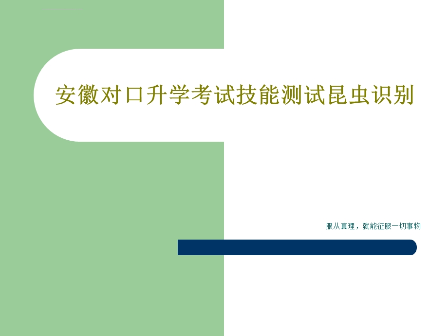 安徽对口升学考试技能测试昆虫识别ppt课件.ppt_第1页