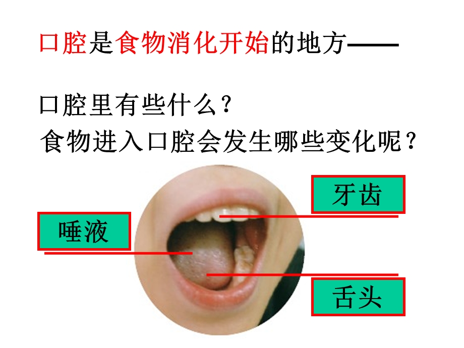 四年级上册科学食物在口腔里的变化教科版课件6.ppt_第2页