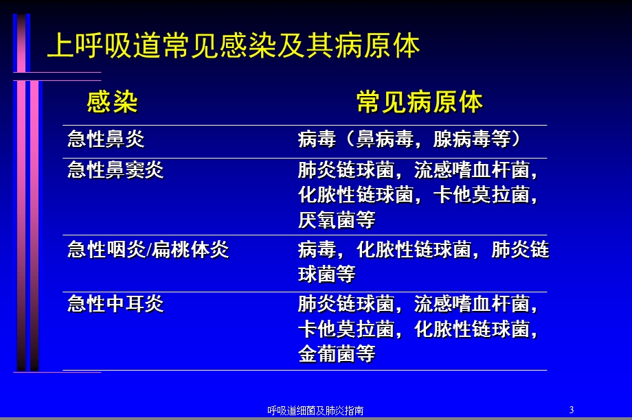 呼吸道细菌及肺炎指南培训课件.ppt_第3页