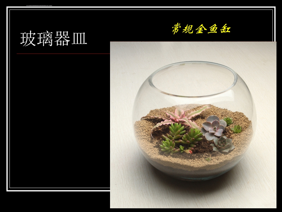 多肉植物组合盆栽ppt课件.ppt_第2页